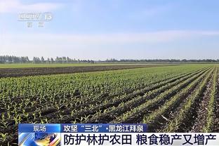 ?薪资专家：丁威迪基本工资155万美元 夺冠另有1美元激励奖金